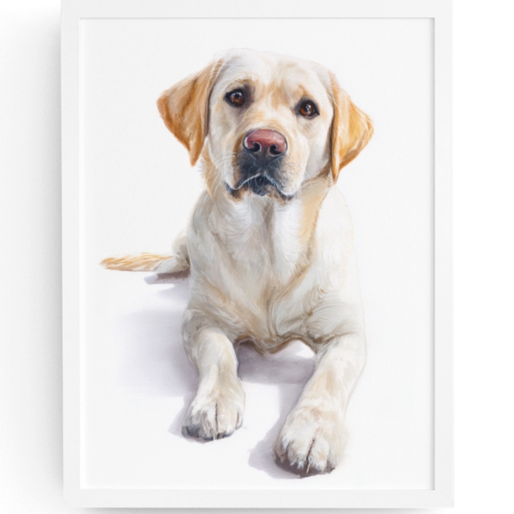Watercolor White Labrador Retriever Dog Portrait Wall Art Print, Unframed